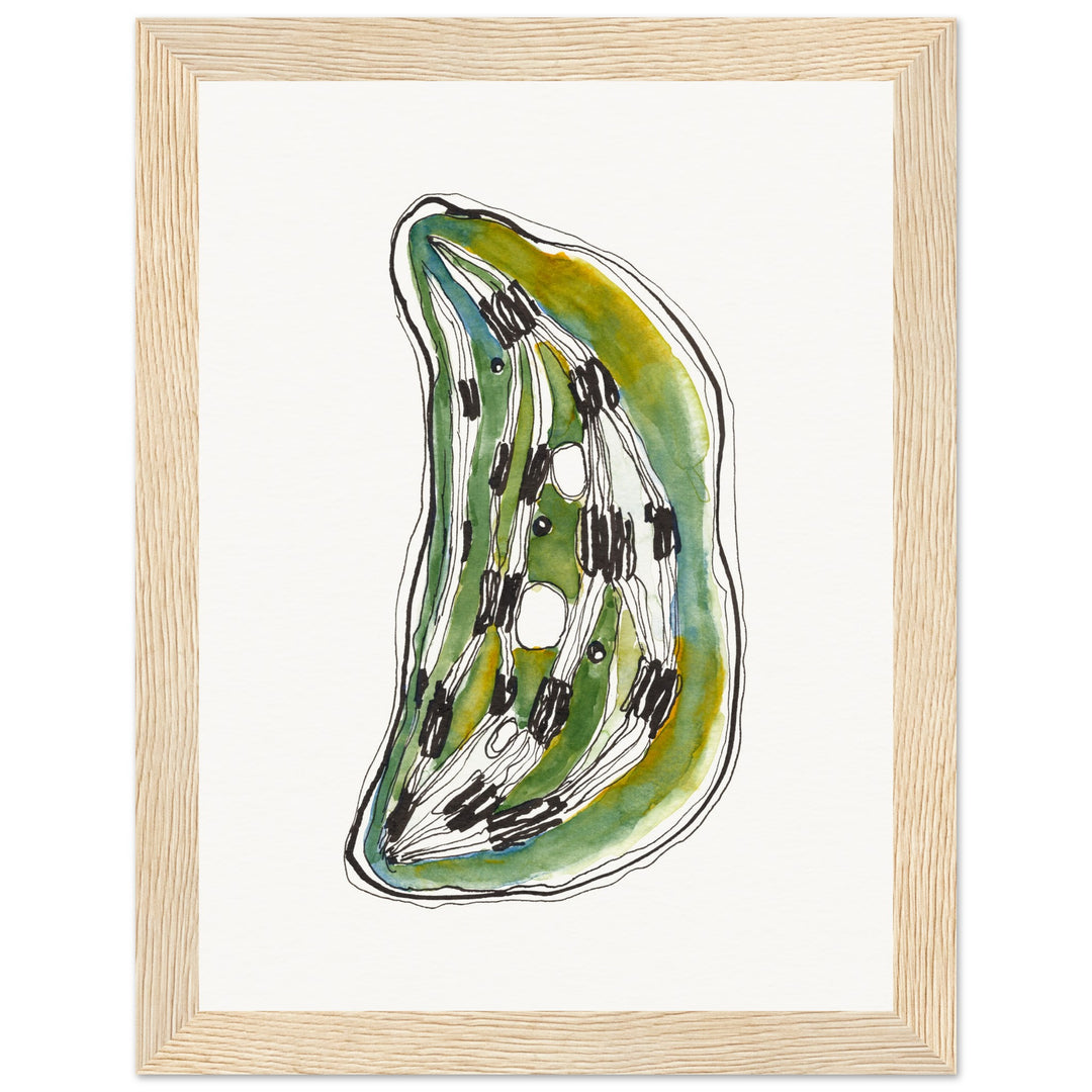 framed print of cell nucleus watercolor painting by ontogenie