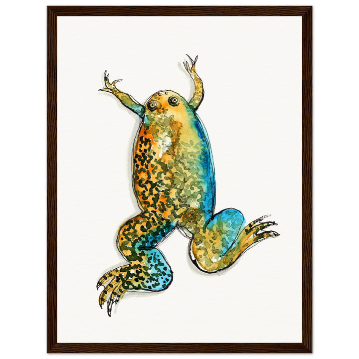 framed print of xenopus african clawed frog watercolor painting by ontogenie