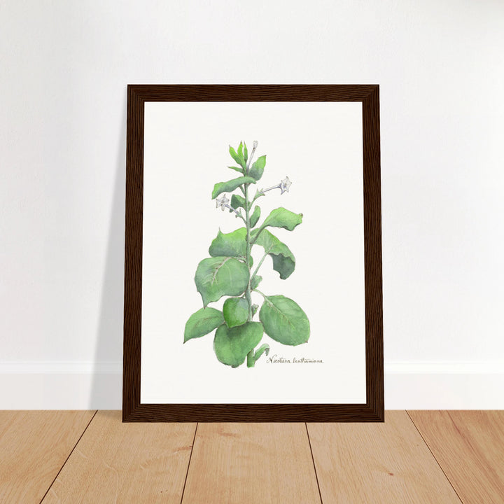 388c152d-4e69-440b-bba1-578a1131409d