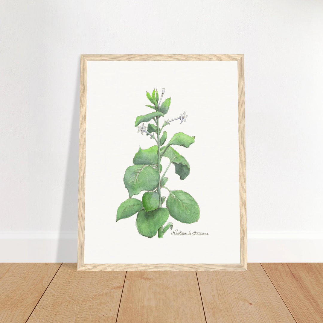 3998fe71-4cfc-4bc1-a72d-65550b0bdfe4