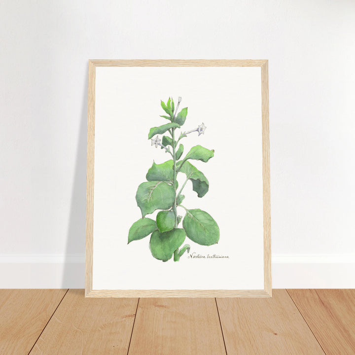 3998fe71-4cfc-4bc1-a72d-65550b0bdfe4