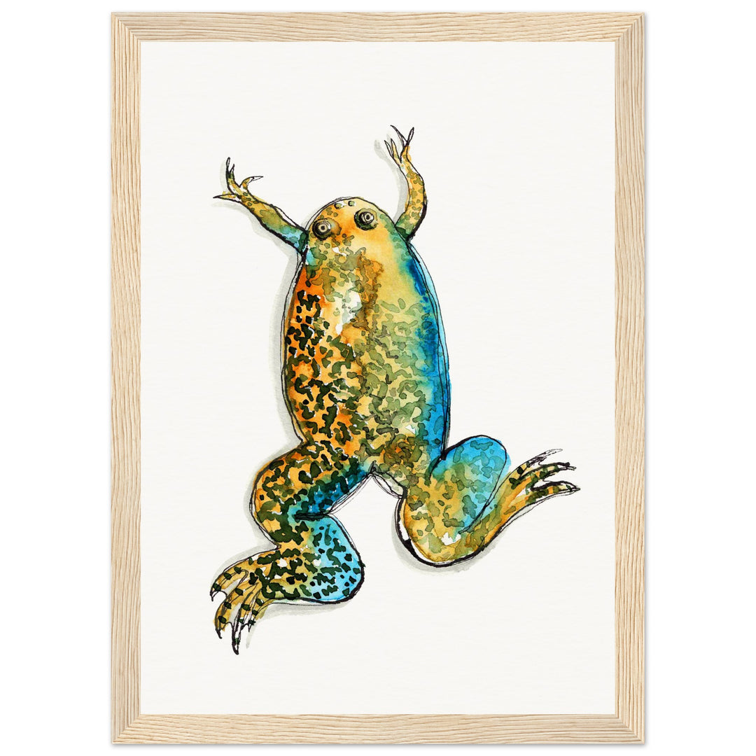 framed print of xenopus african clawed frog watercolor painting by ontogenie