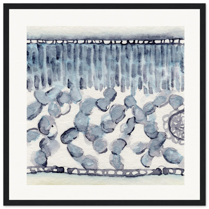 dicot leaf cross section abstract watercolor framed print