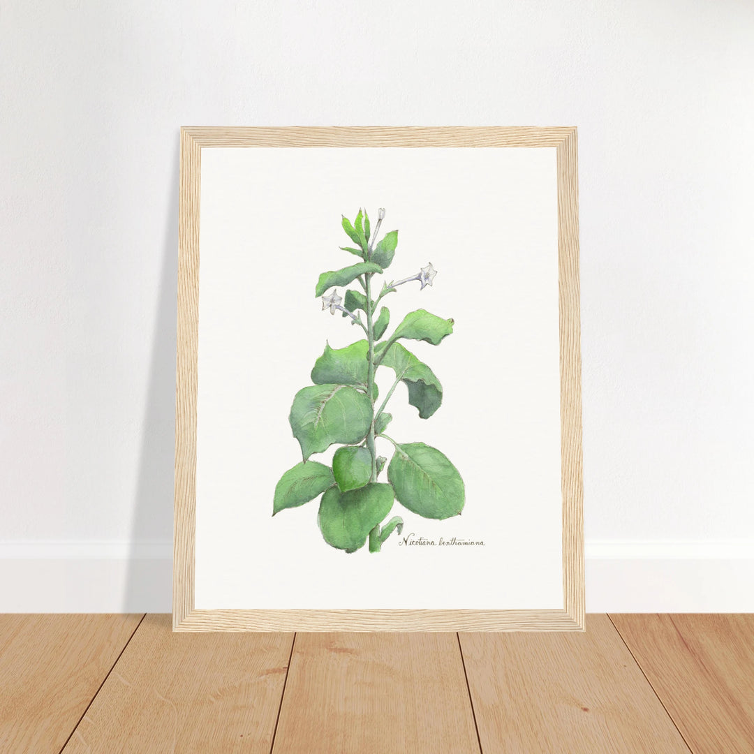 3f482fbe-90d7-4c2d-944a-9b350b9b0607