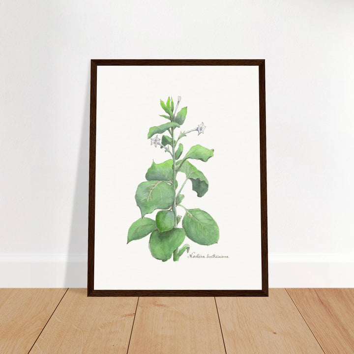 3f7b1cb6-fafa-46c8-bc5d-3507cffc2541