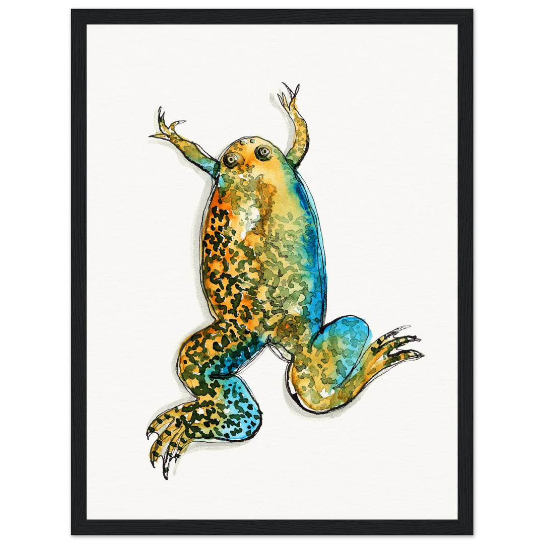 framed print of xenopus african clawed frog watercolor painting by ontogenie