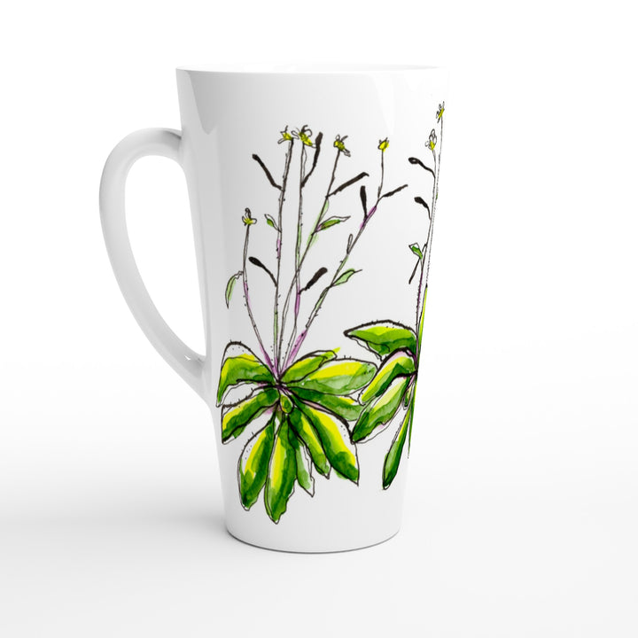 arabidopsis thaliana watercolor latte mug by ontogenie