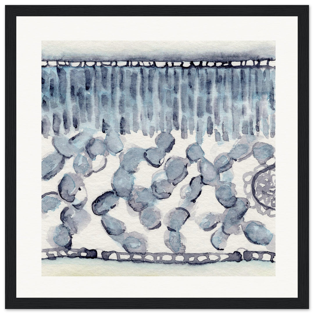 dicot leaf cross section abstract watercolor framed print
