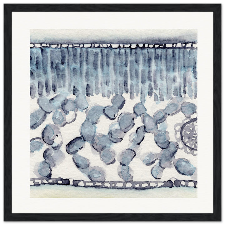dicot leaf cross section abstract watercolor framed print
