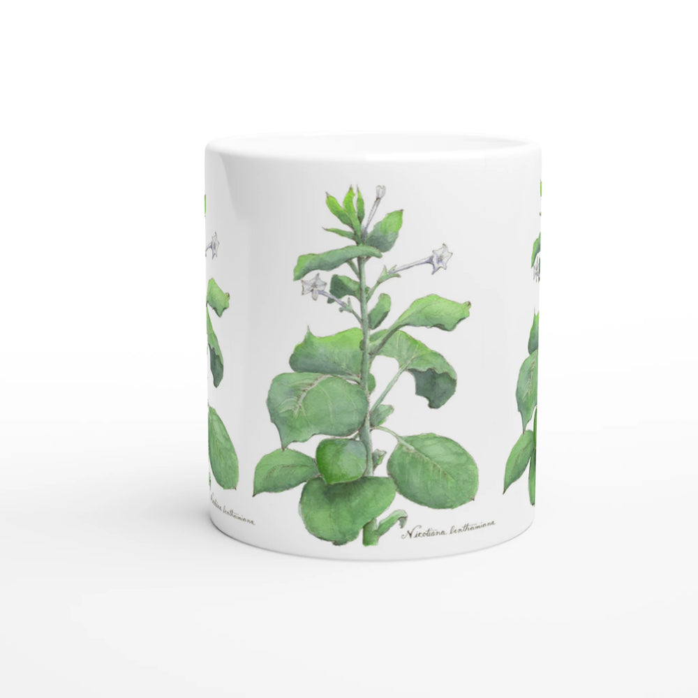 nicotiana benthamiana tobacco mug