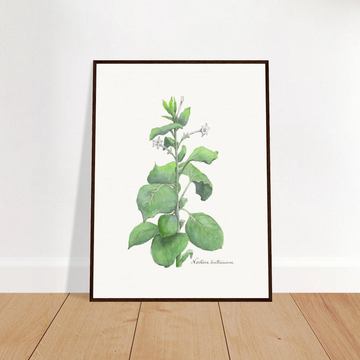 42dbe73f-a145-4b88-aba3-ef2764132f27