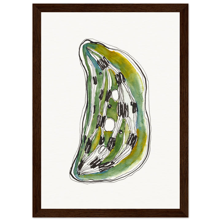 framed print of cell nucleus watercolor painting by ontogenie