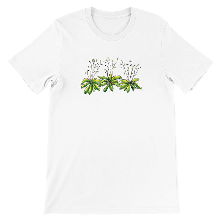 watercolor arabidopsis thaliana design on white tshirt by ontogenie