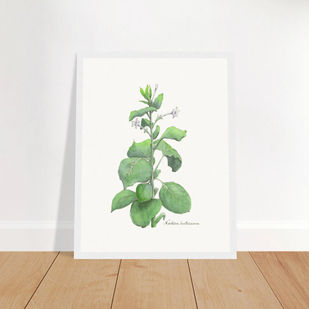 4c4cc725-939b-4a50-93f3-68759e5e0a13