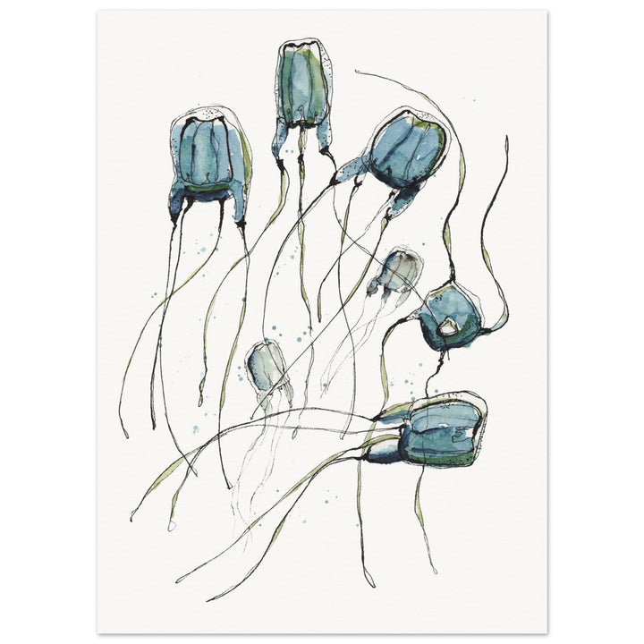 alatina box jellyfish watercolor art print by ontogenie