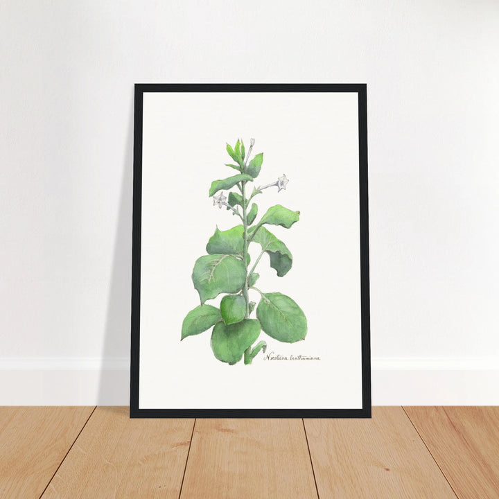 54a11a43-7b0b-4e21-99fe-8bb1e3f6c8be