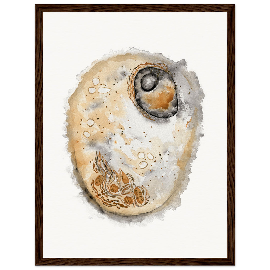 framed print of animal cell watercolor painting by ontogenie