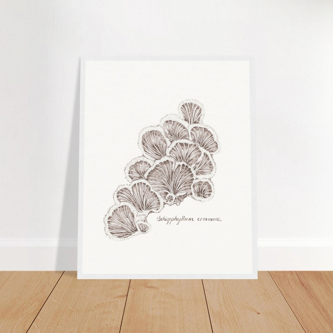 framed artwork of schizophyllum split gill mushroom ink drawing, white frame