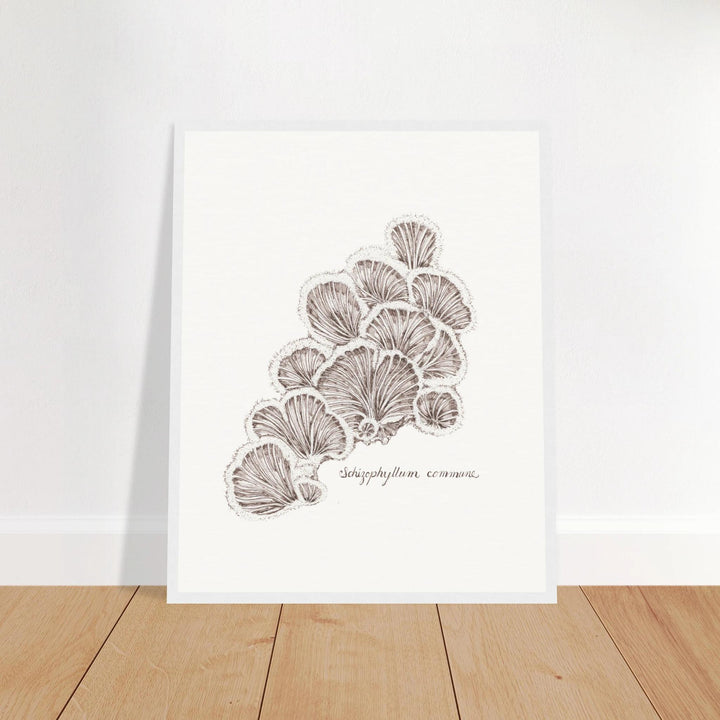 framed artwork of schizophyllum split gill mushroom ink drawing, white frame