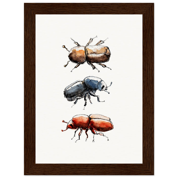 framed print of bark beetle watercolor painting by ontogenie