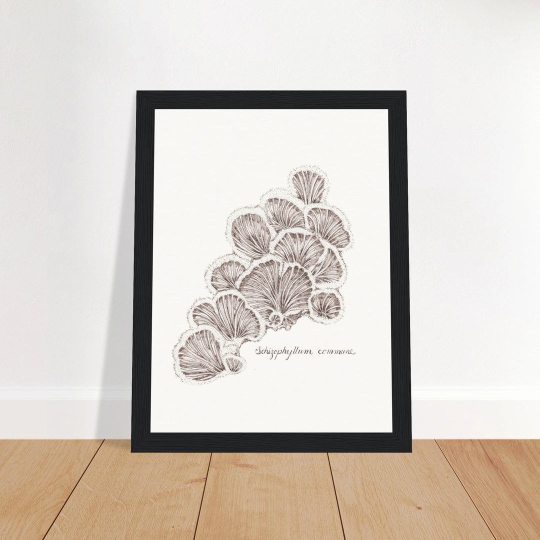 5c6469a1-6e27-4502-aebd-0e7627a9250a