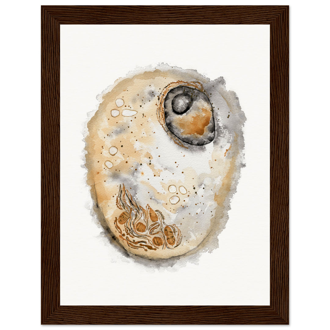 framed print of animal cell watercolor painting by ontogenie