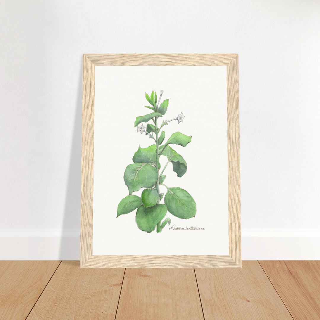 622e5163-a058-479c-a04b-0495db0f0b21