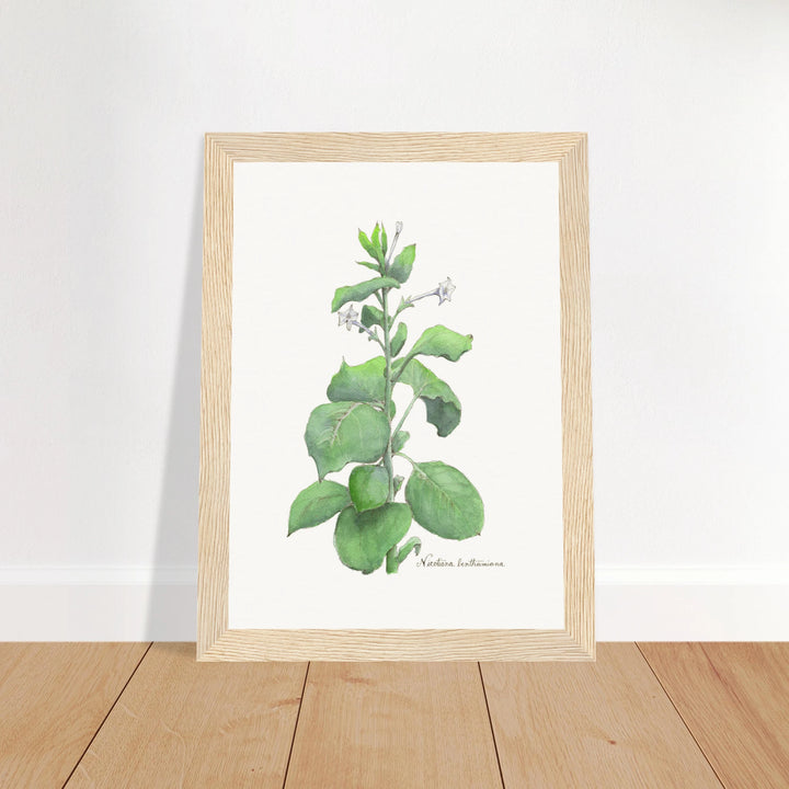 622e5163-a058-479c-a04b-0495db0f0b21