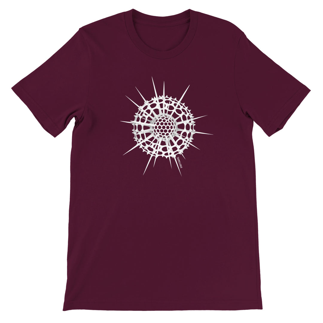 radiolaria t-shirt in maroon by ontogenie