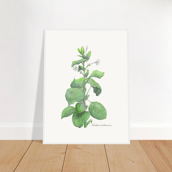 670ef80c-e4bb-43c9-9ddf-9f19138ffb4c