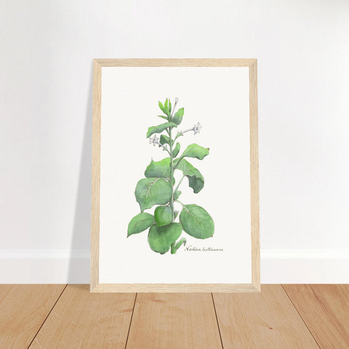 68ad6e11-ee22-4917-8641-aae12dcce59a