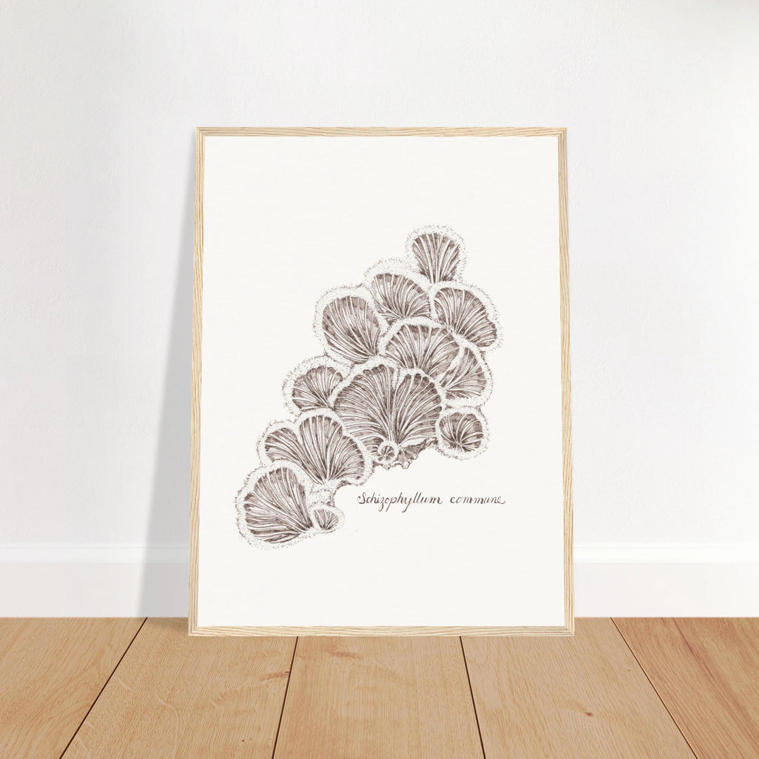 6c95db5a-08c0-4de6-a483-e68eac7e7017