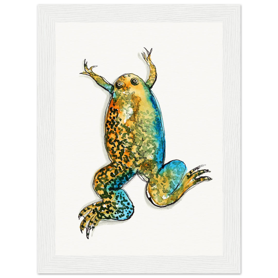 framed print of xenopus african clawed frog watercolor painting by ontogenie