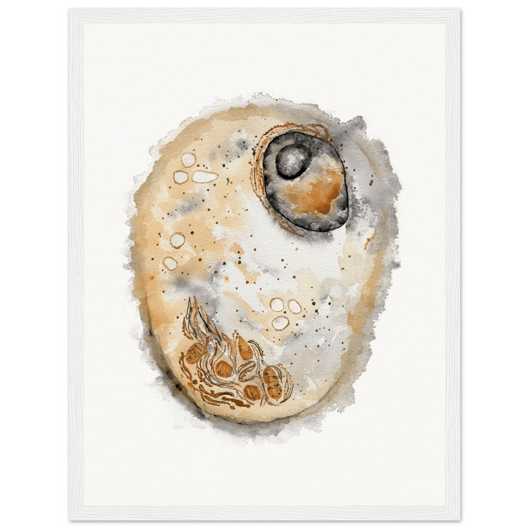 framed print of animal cell watercolor painting by ontogenie