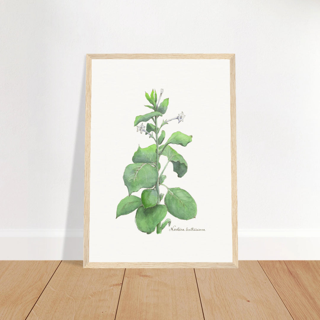 7e1d514b-ab80-4089-8dbe-c17da11a7dd2