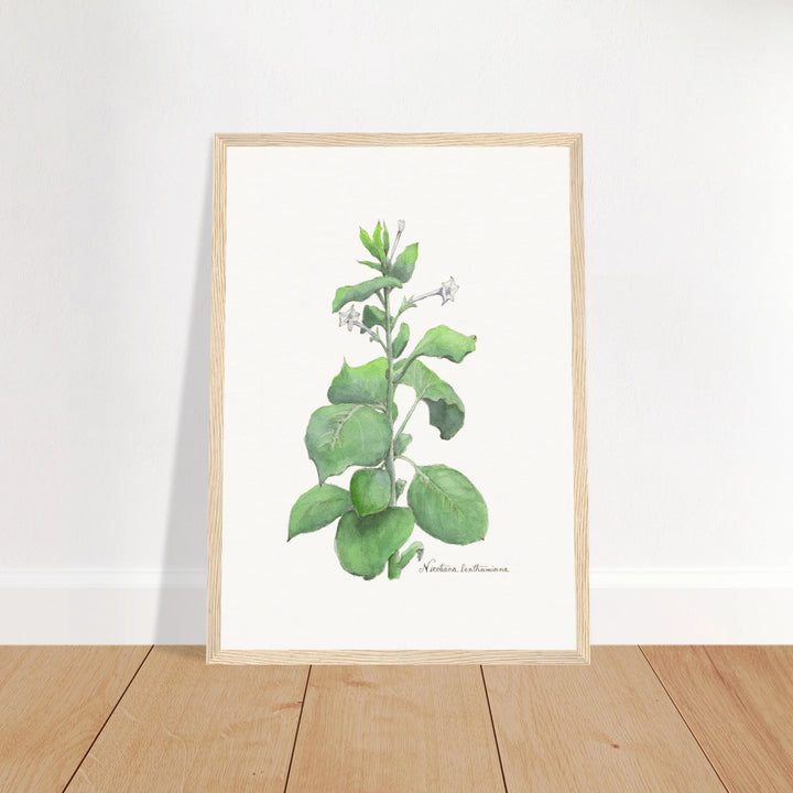 7e1d514b-ab80-4089-8dbe-c17da11a7dd2