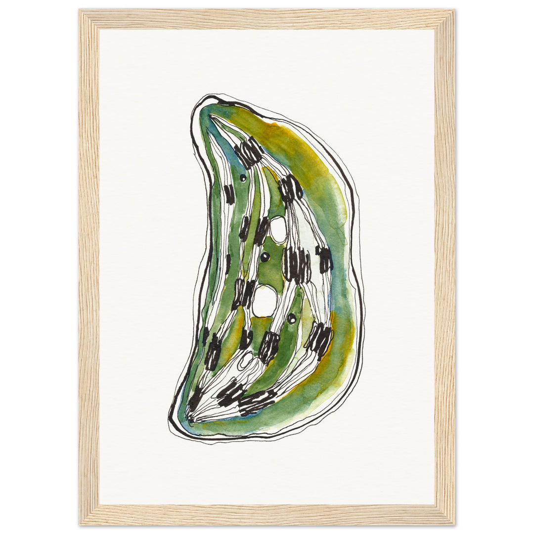 framed print of cell nucleus watercolor painting by ontogenie