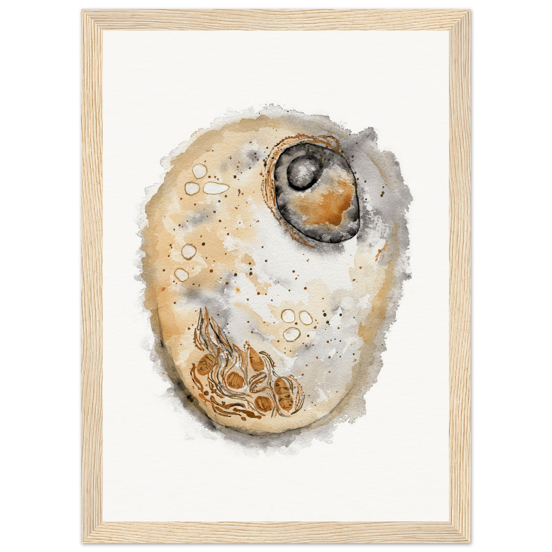 framed print of animal cell watercolor painting by ontogenie