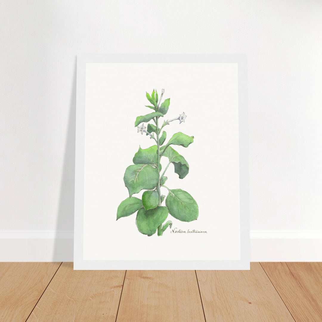 85e2901d-eb28-4ef1-b65d-5a831aecd1f6