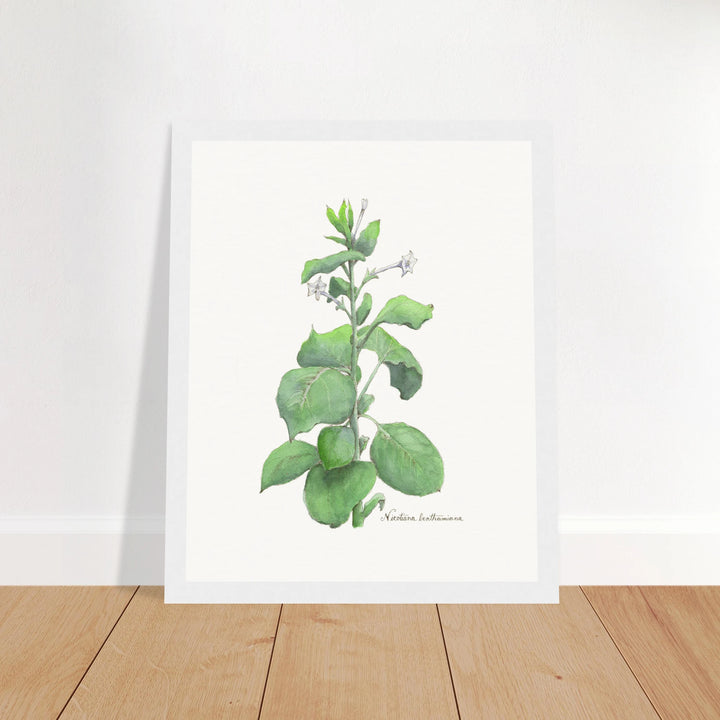 85e2901d-eb28-4ef1-b65d-5a831aecd1f6