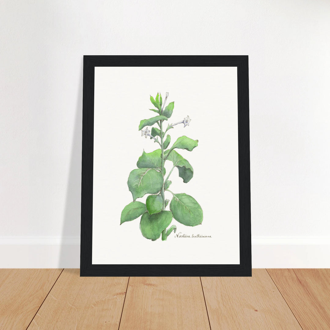 864f78c3-d0cc-427c-8beb-4bfa07446203