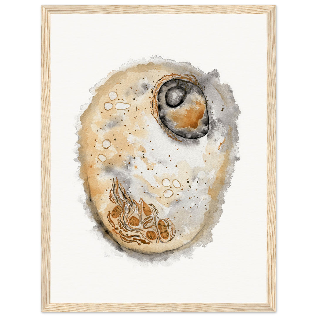 framed print of animal cell watercolor painting by ontogenie