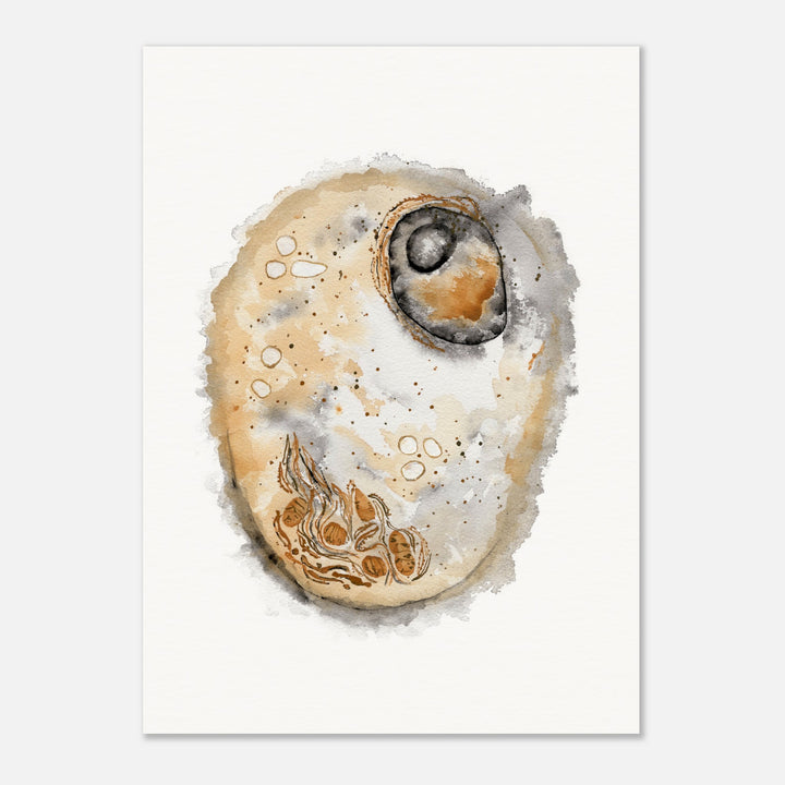 animal cell watercolor art print by ontogenie, gift for biologist or medical professional