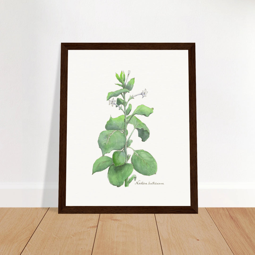 87f8dd7c-a164-4441-aadd-23a9aa5bf302