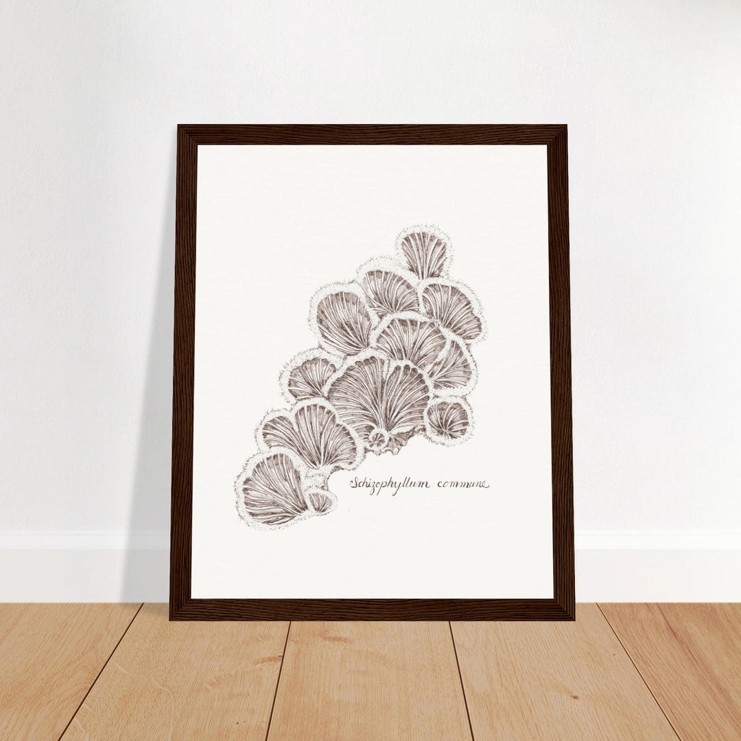 framed artwork of schizophyllum split gill mushroom ink drawing, black frame