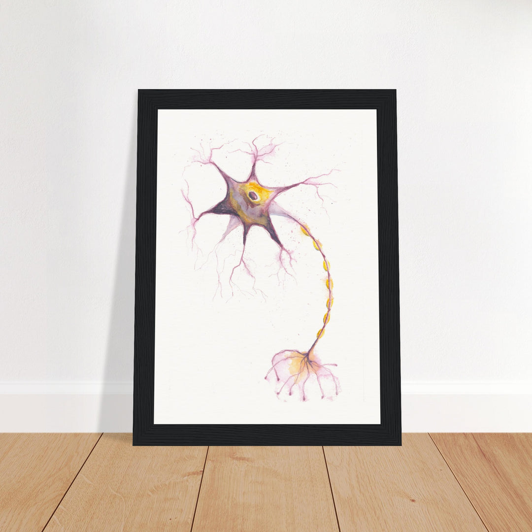 multipolar neuron watercolor art with black frame