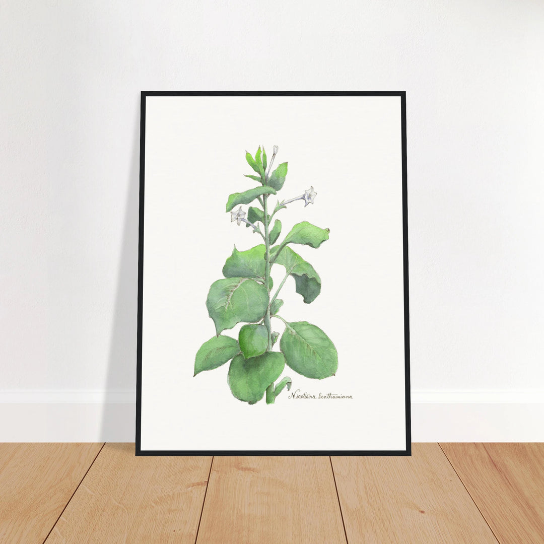 8a99d77f-4b9e-40b7-ad49-7193a616be68