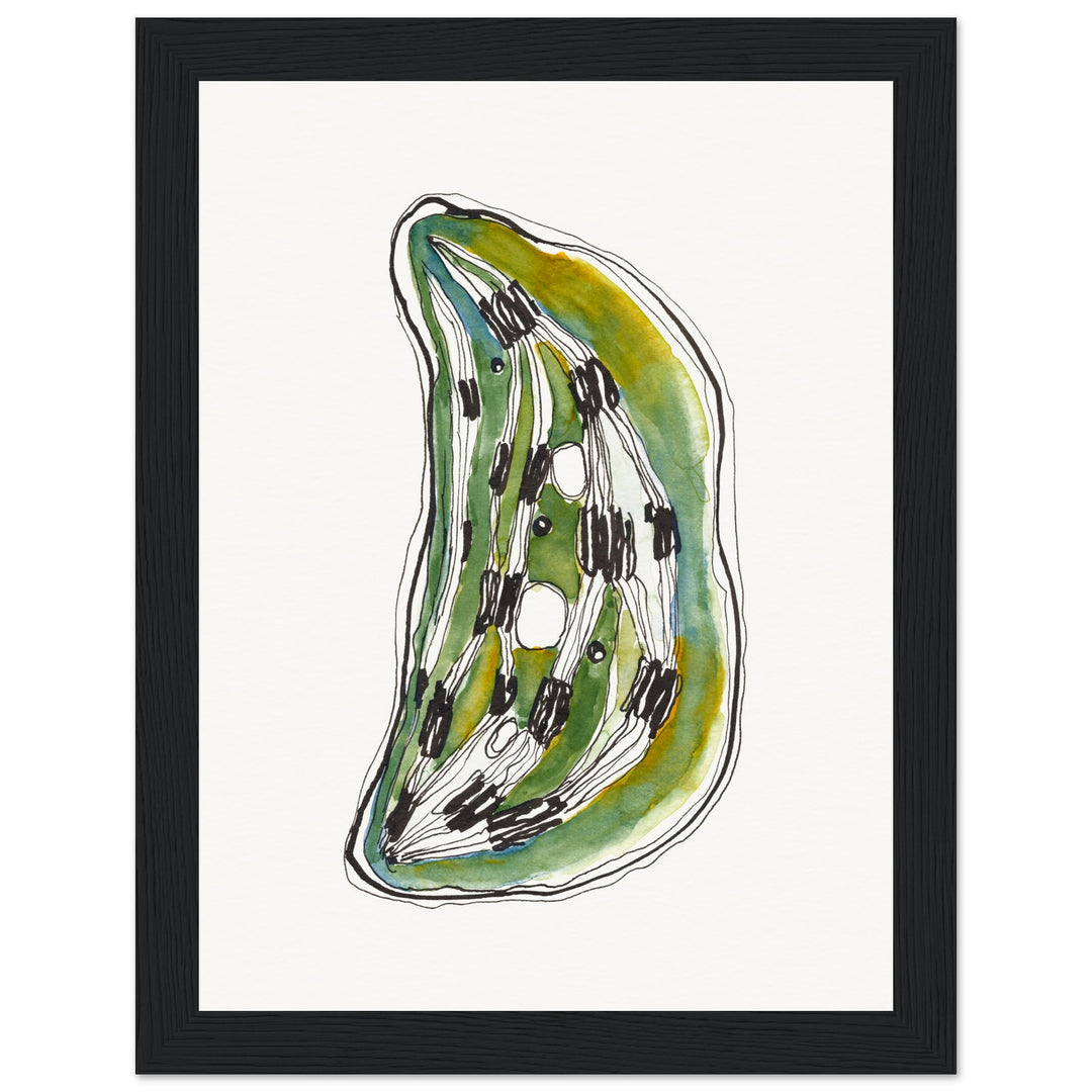 framed print of cell nucleus watercolor painting by ontogenie