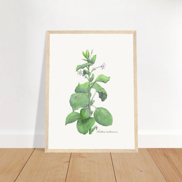 8f1b19a0-8d15-4575-860f-e741195b0ea2