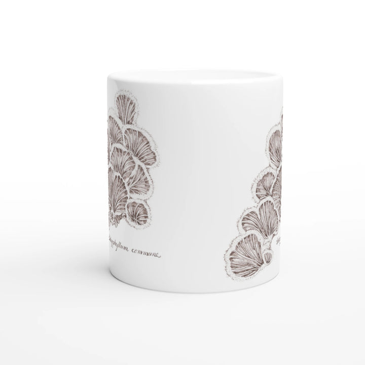 Split gill mushroom Schizophyllum commune standard mug